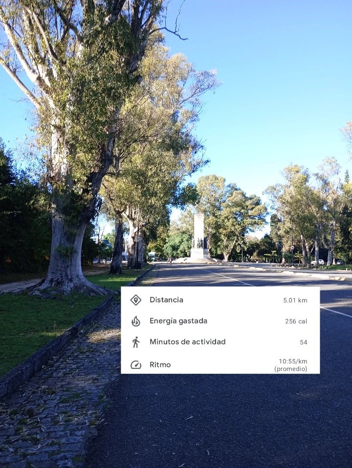 cin 𝜗ৎ tweet media