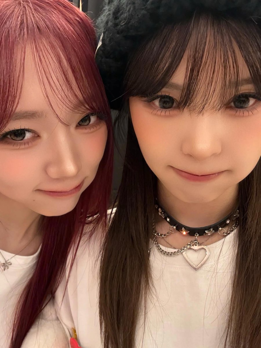 KOTONE UPDATES tweet media