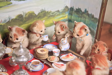 「the work of English taxidermist Walter P」|Colinのイラスト