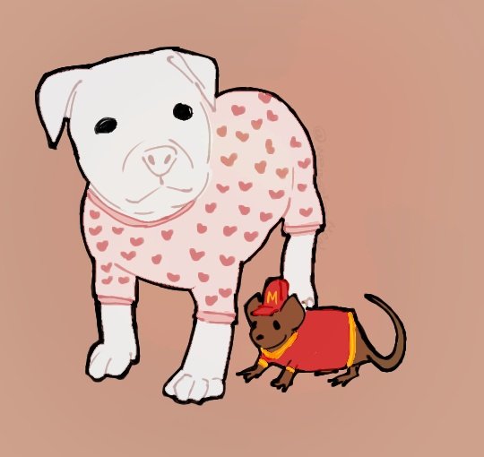 yarbistraemefentaniloyarbis tweet media