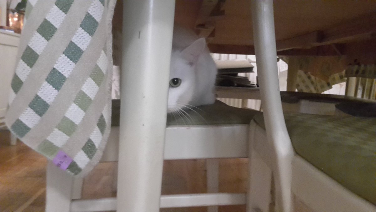 𝐒𝐞𝐨𝐮𝐥𝐣𝐚𝐁𝐨𝐲 🇸🇪 tweet media