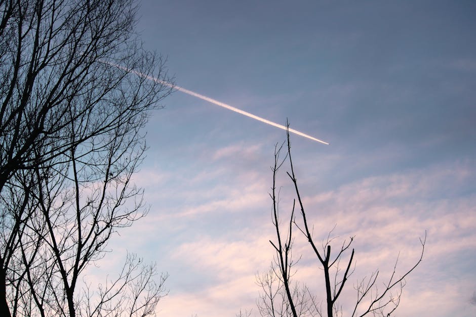 Joseph Stone tweet media