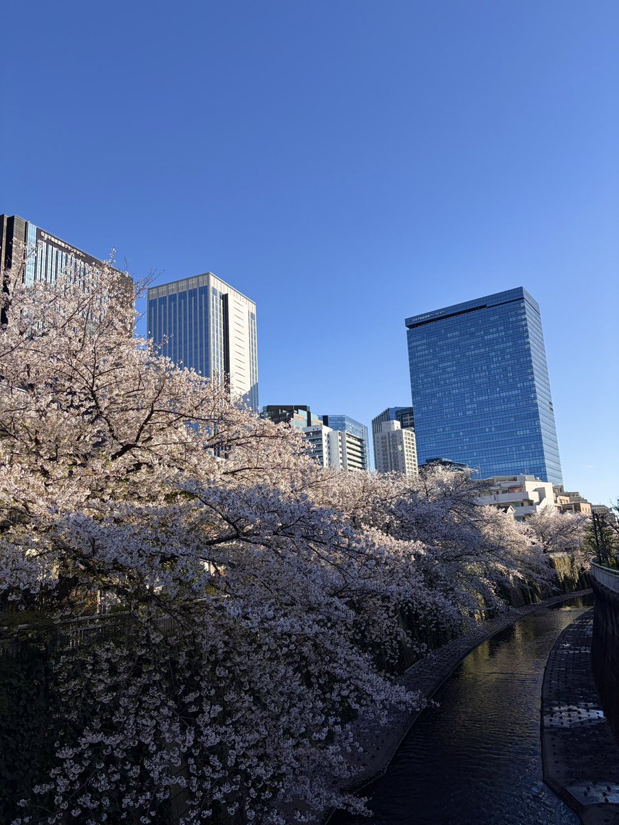 Yu(vague) tweet media