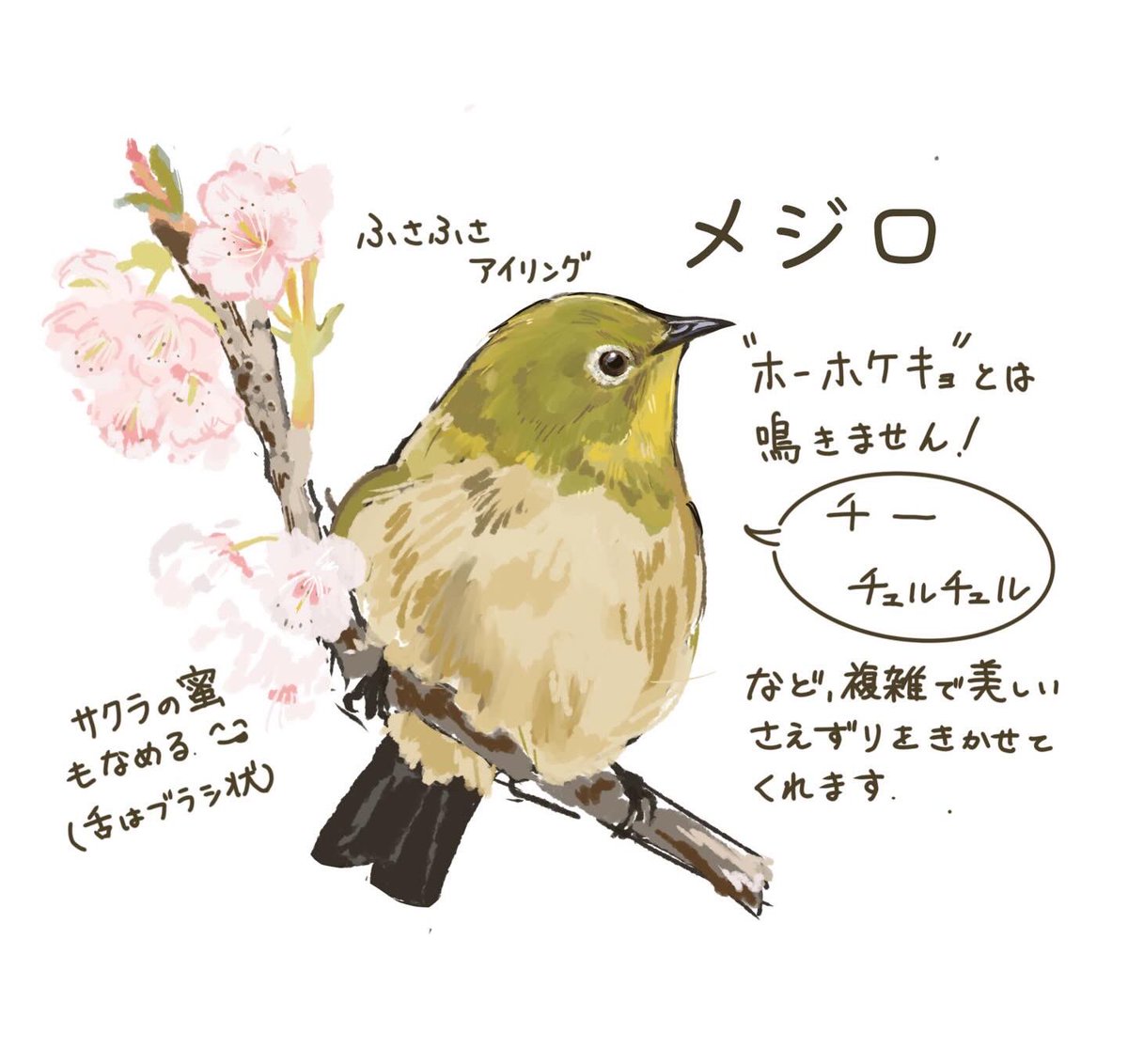 とりつじ tweet media