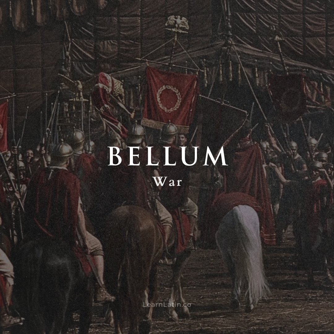 Learn Latin tweet media