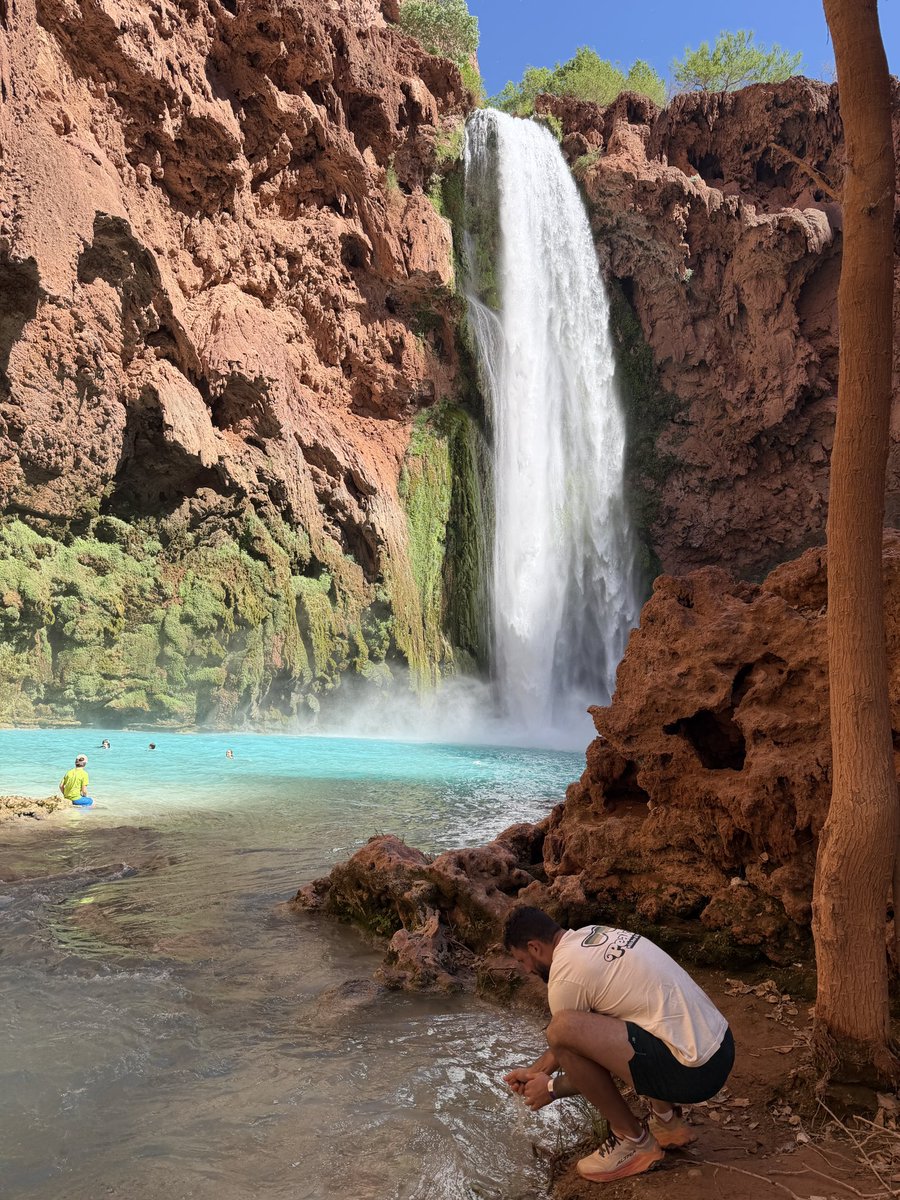 DonnieDoesWorld's tweet photo. Squat spot in paradise!
New #peakin in progress. https://t.co/P8xoBjY5nN
