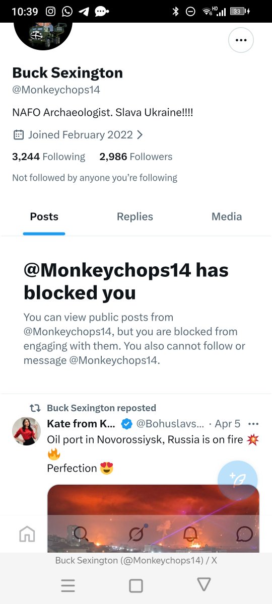 Zenith Horizons tweet media