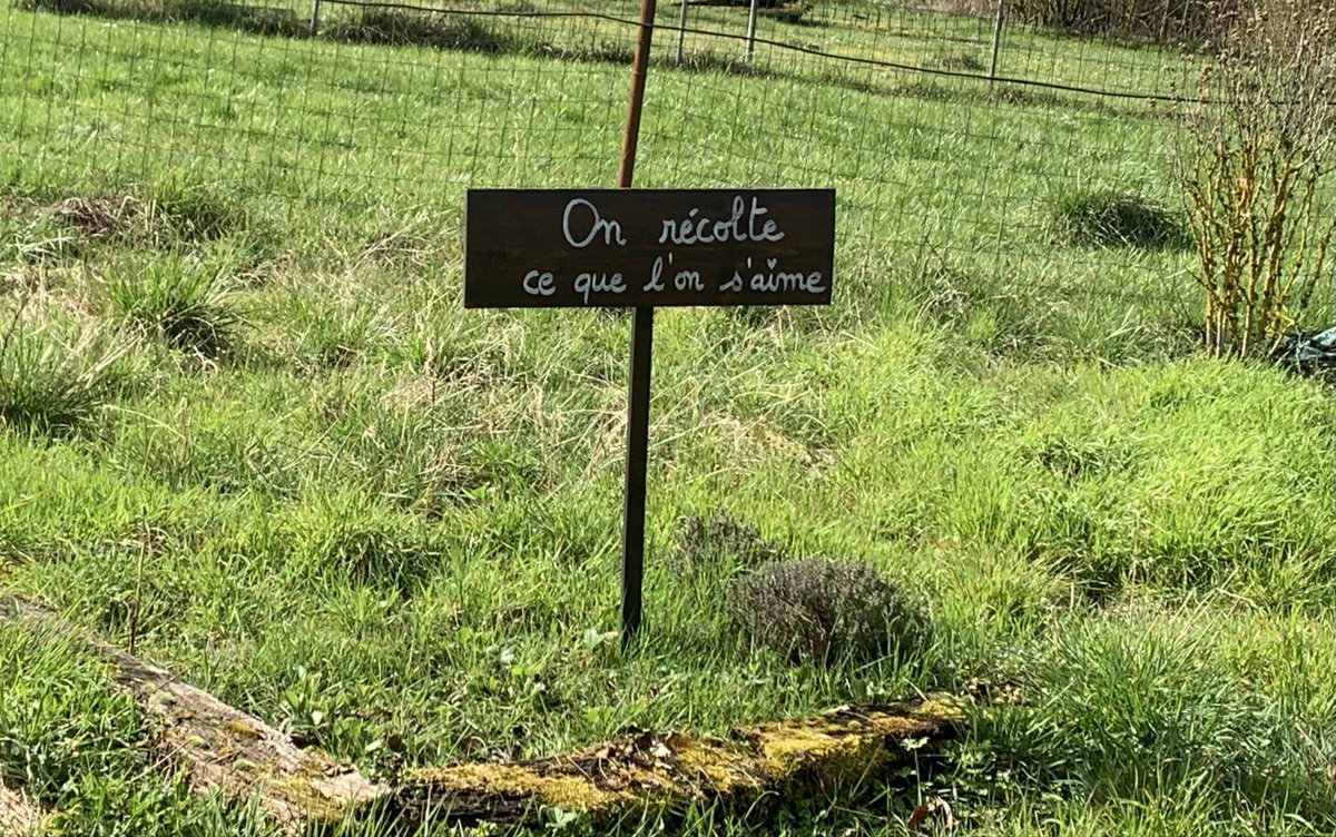 𝙲𝚊𝚛𝚗𝚞𝚗𝚗𝚘𝚜 🦌🌲 tweet media