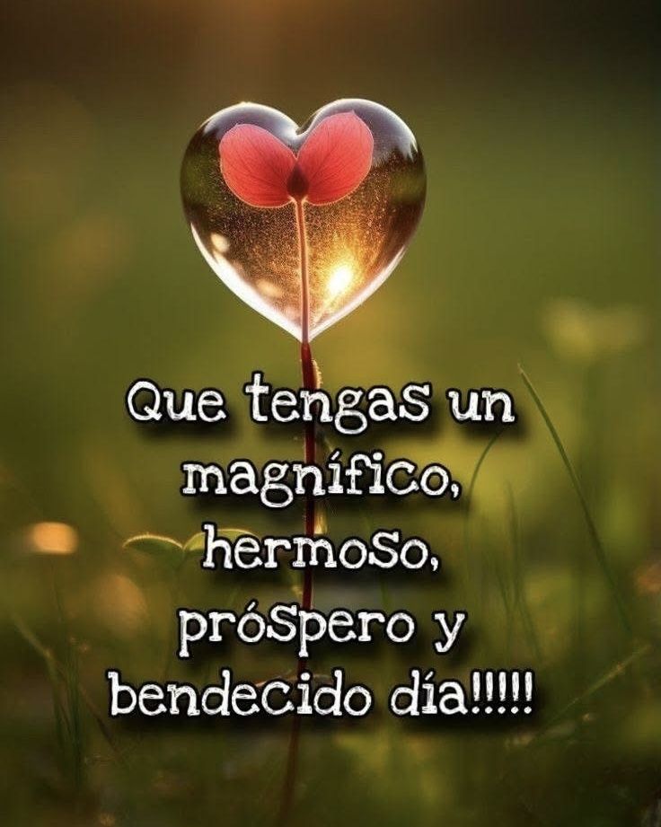 Will cruz tweet media