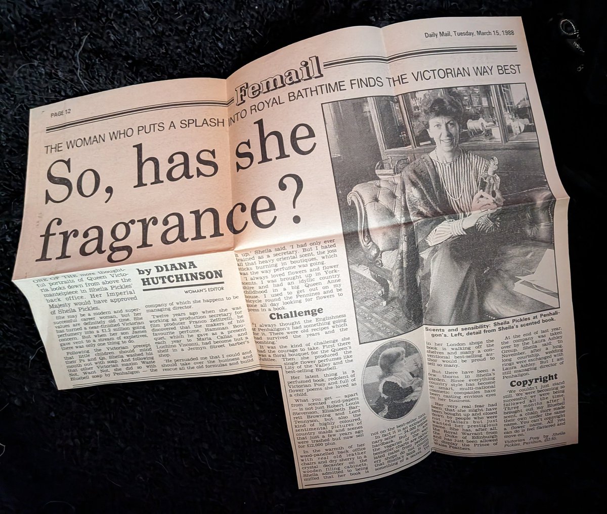 Sage 📚🌕🖤 tweet media