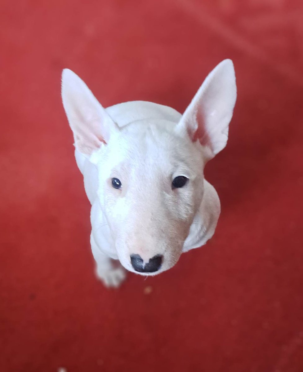 Stan the EBT tweet media