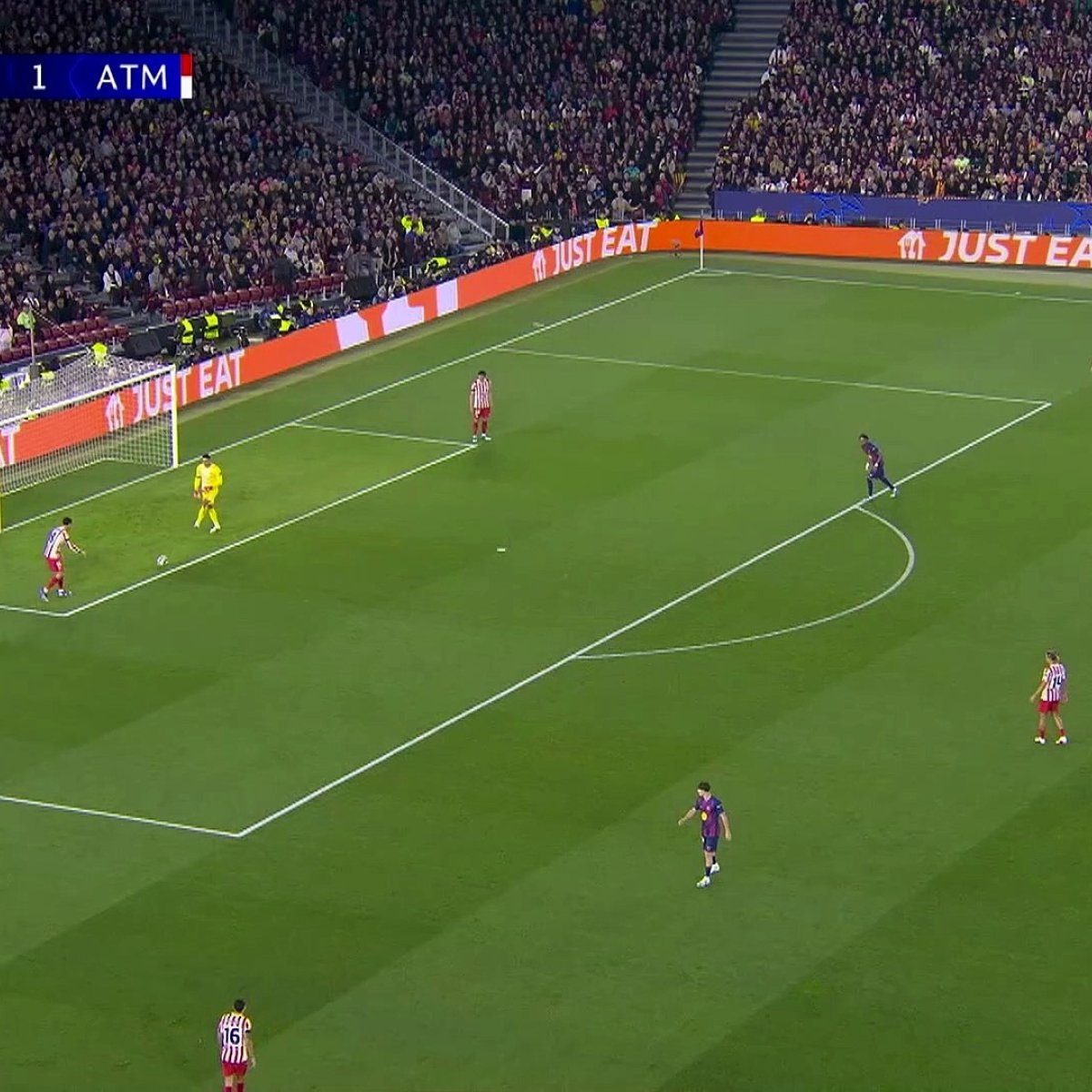 Doniphon tweet media