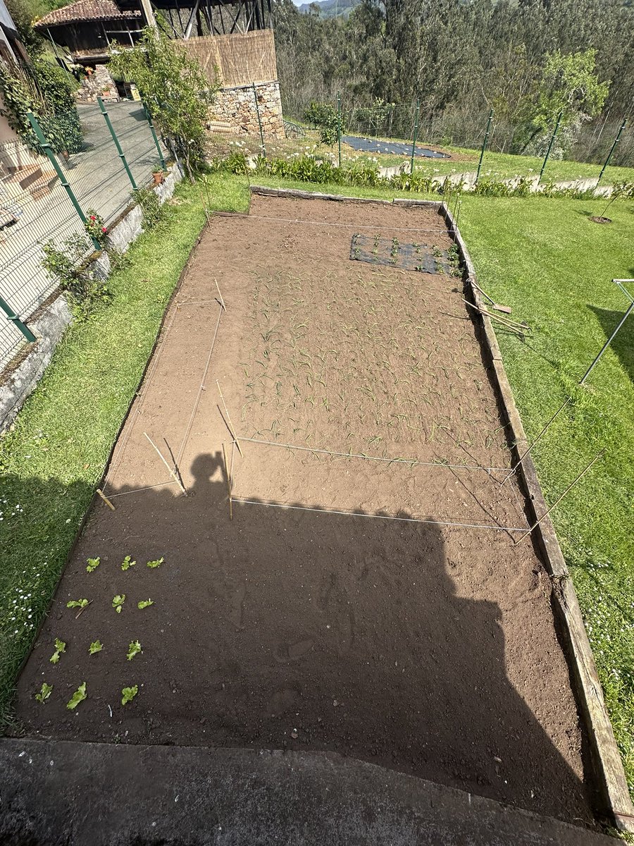 Álvaro Boro tweet media