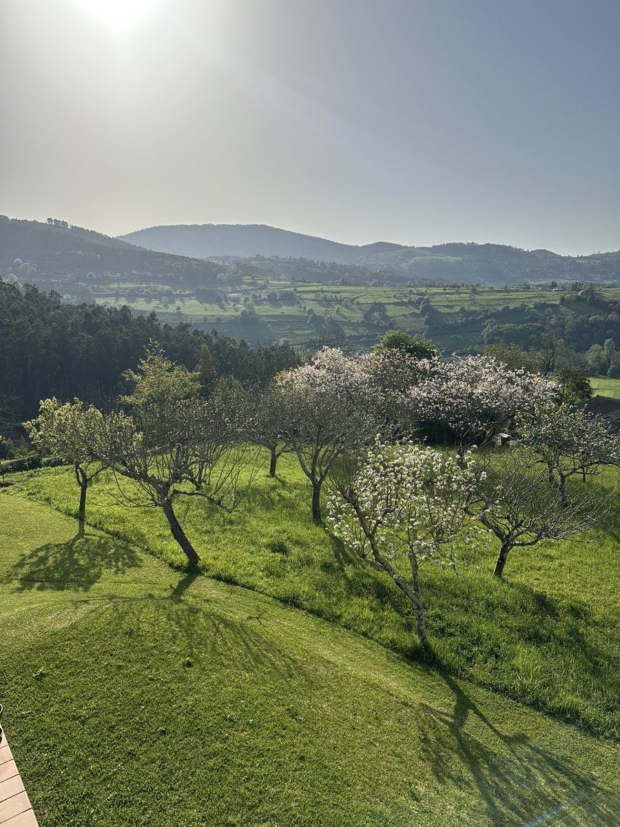 Álvaro Boro tweet media