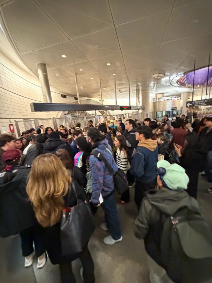 河内大和 Yamato Kochi tweet media