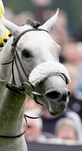 Scotland for Animals tweet media