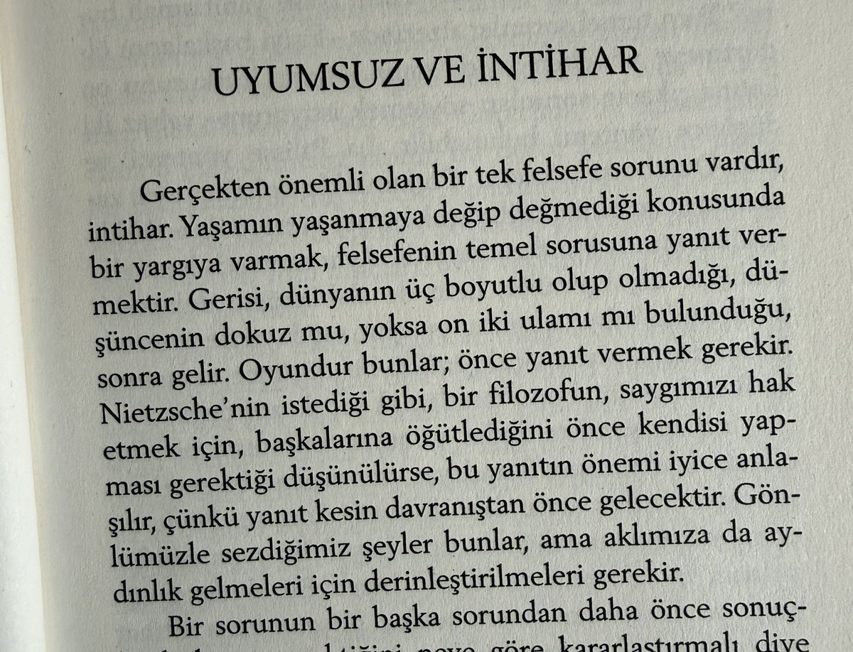 Pelin Dilara Colak tweet media