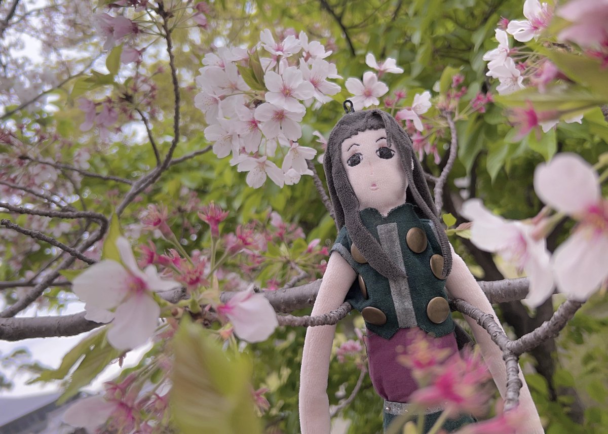 あきぽぬ tweet media