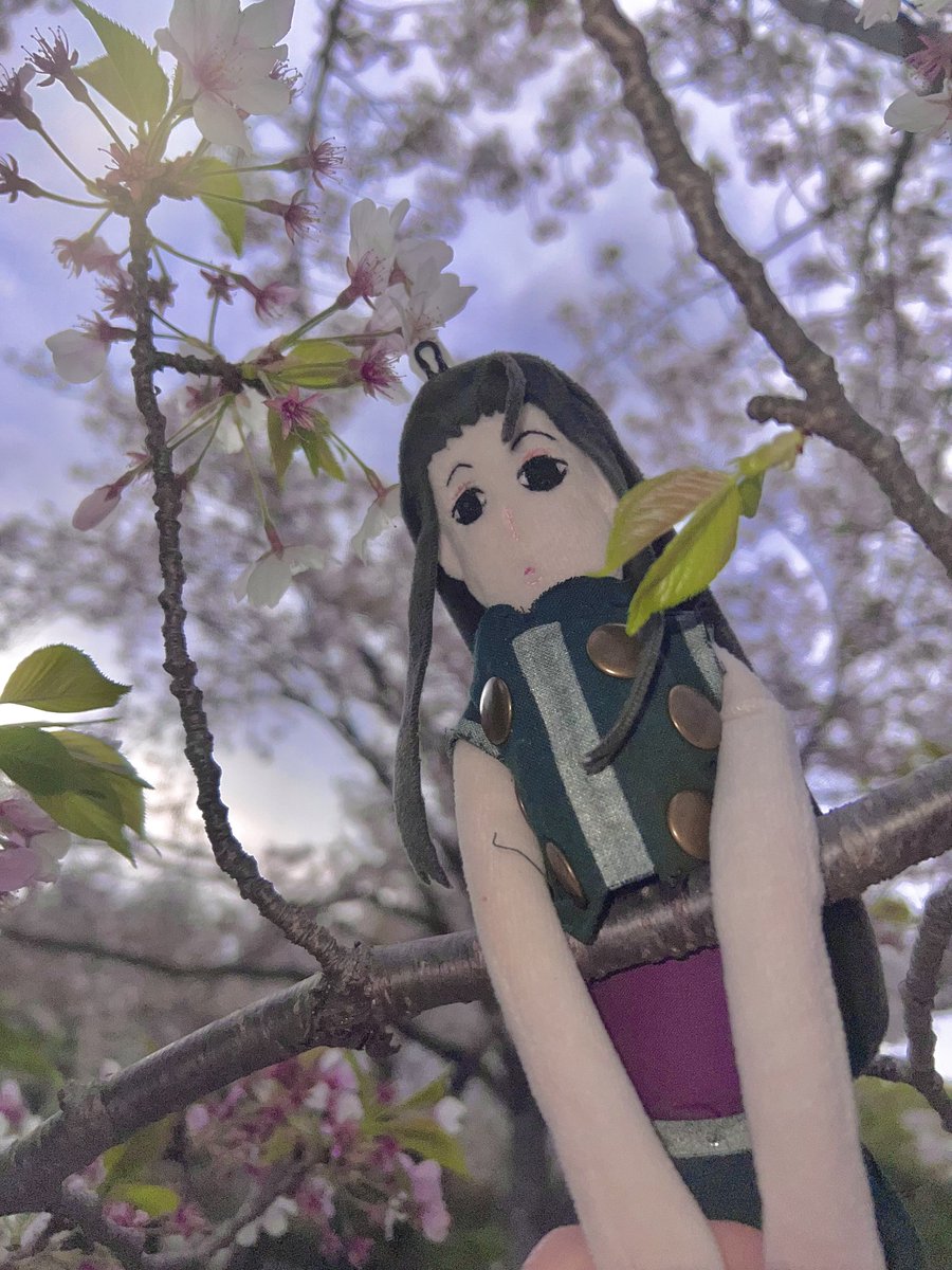 あきぽぬ tweet media