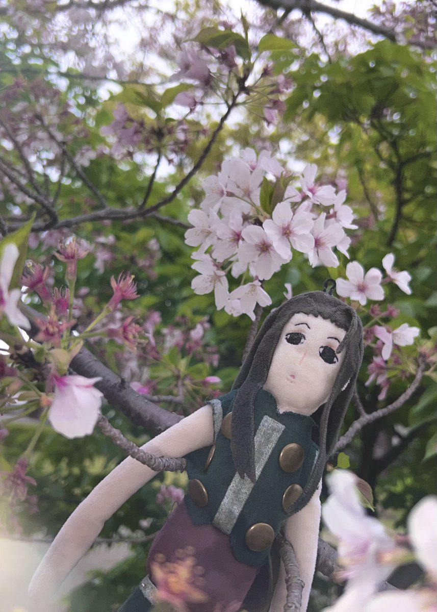 あきぽぬ tweet media