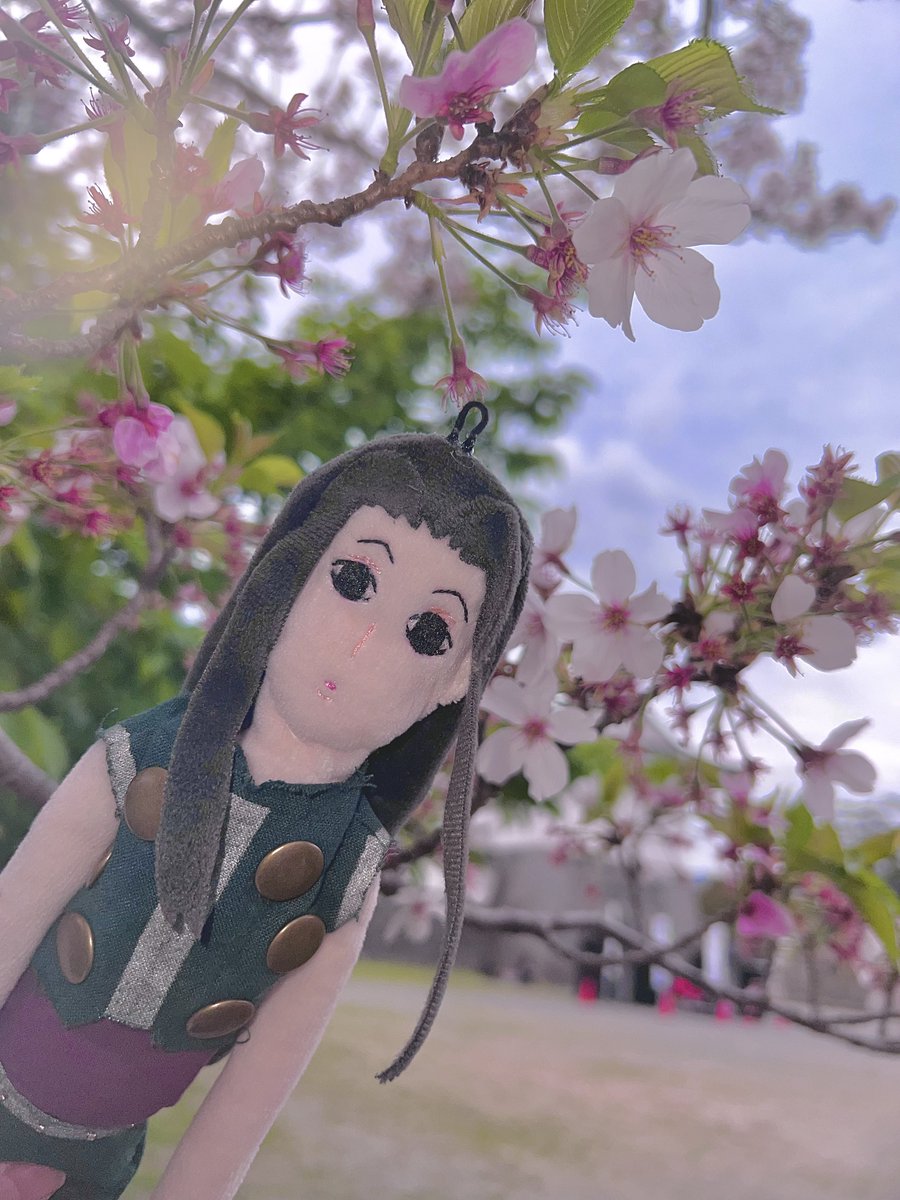 あきぽぬ tweet media