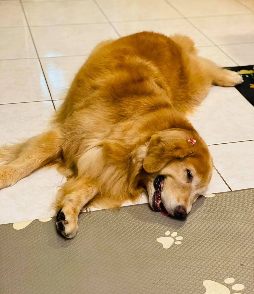 Grant Shrimpton tweet media