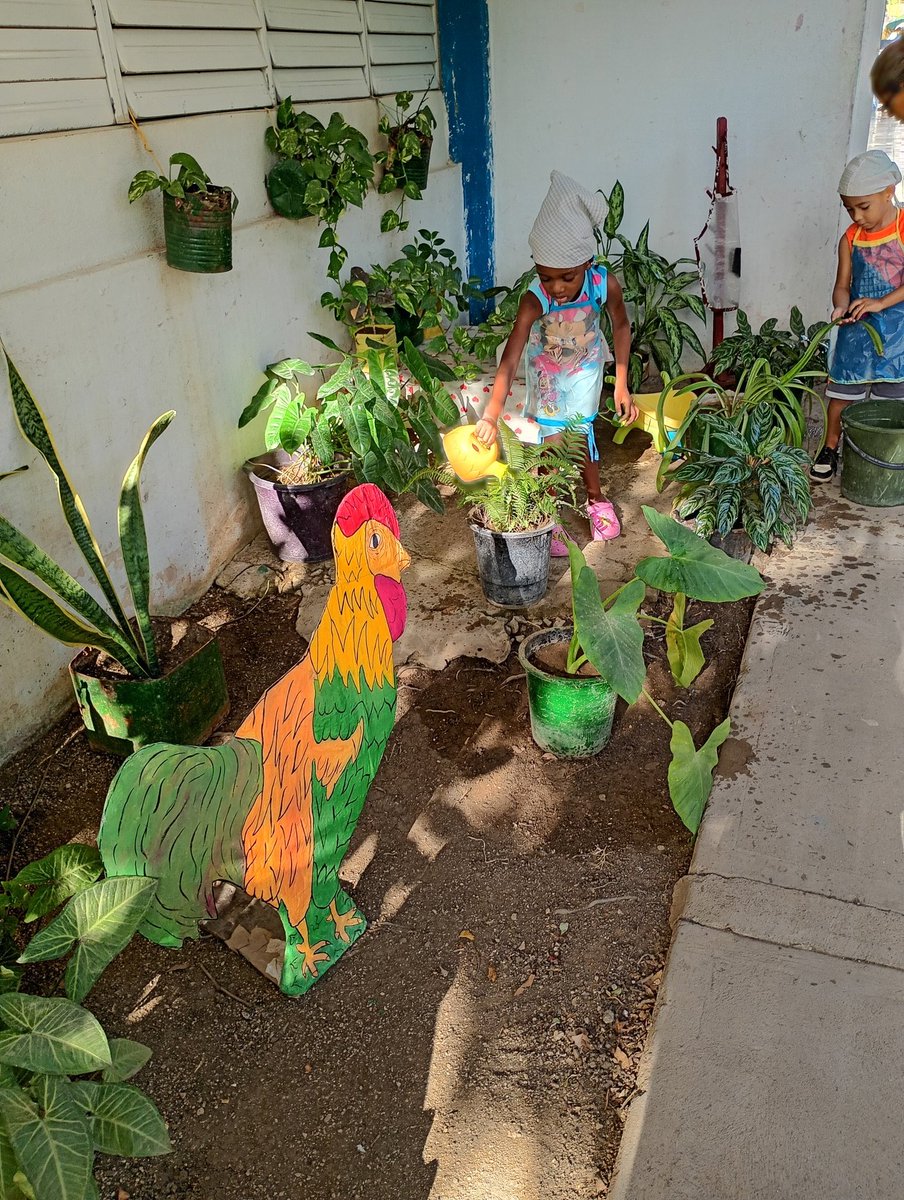 Dgeap Guantánamo Cuba tweet media