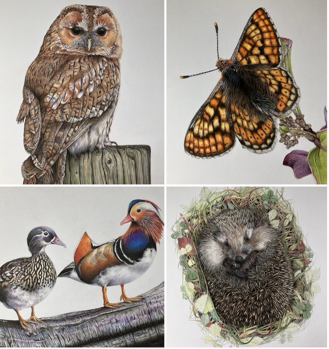 Lisa Wellwood Artist tweet media