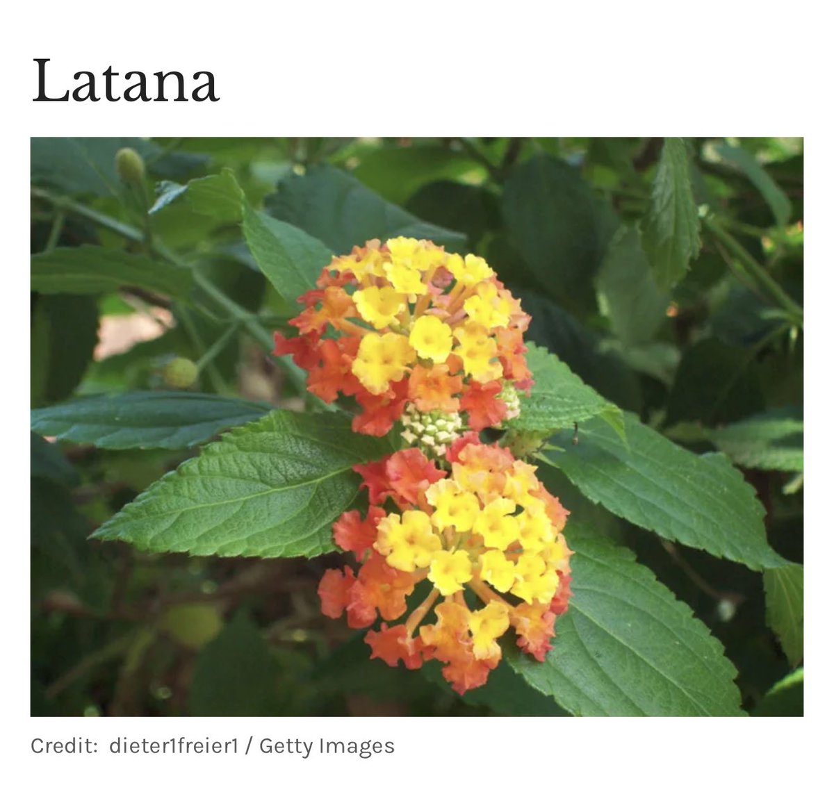 Leigh10021 tweet media