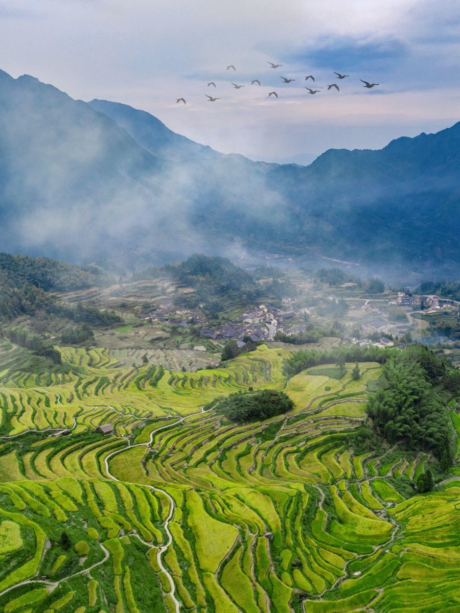 c.ruchaud87@gmail.com tweet media