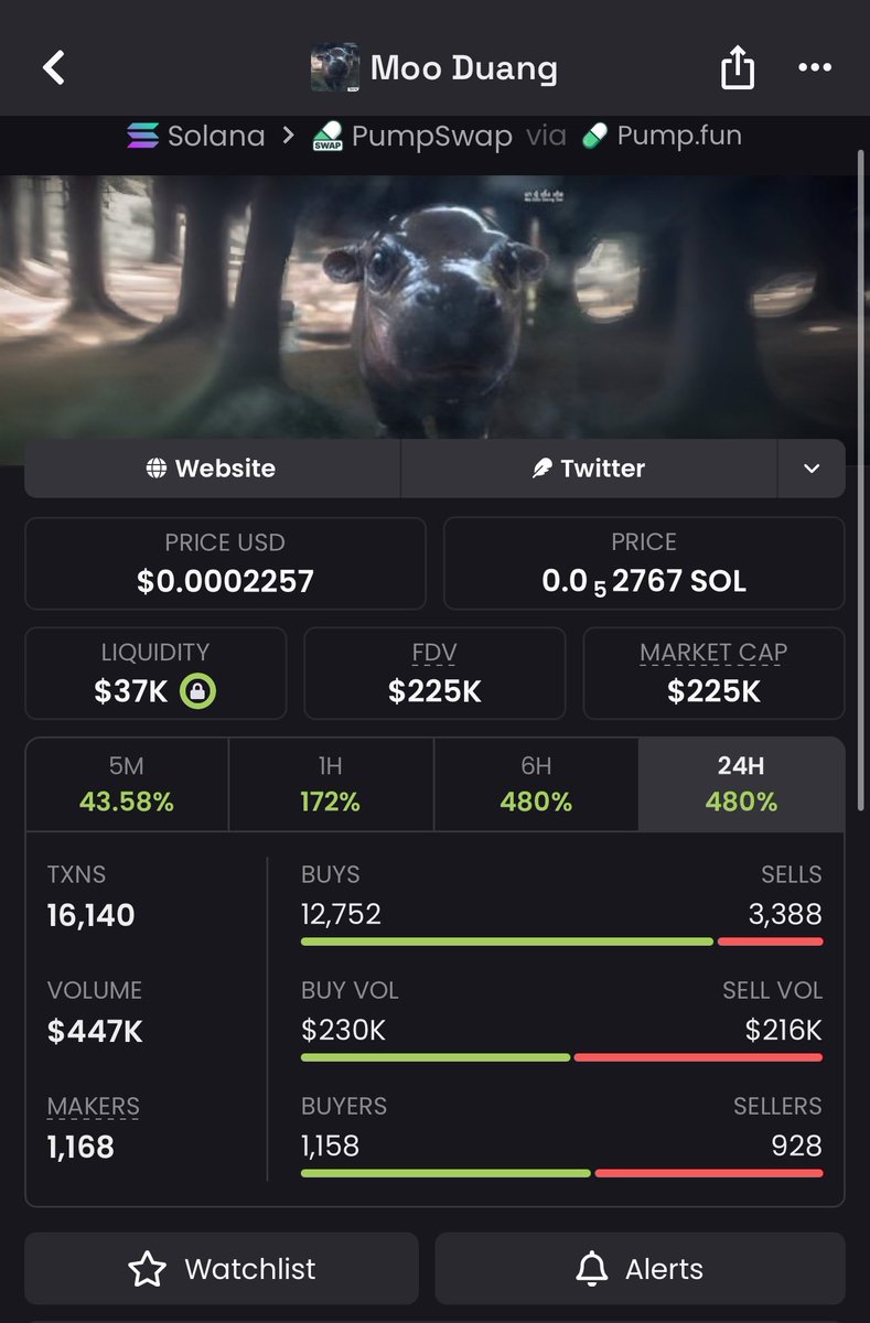 Meme Wolf tweet media