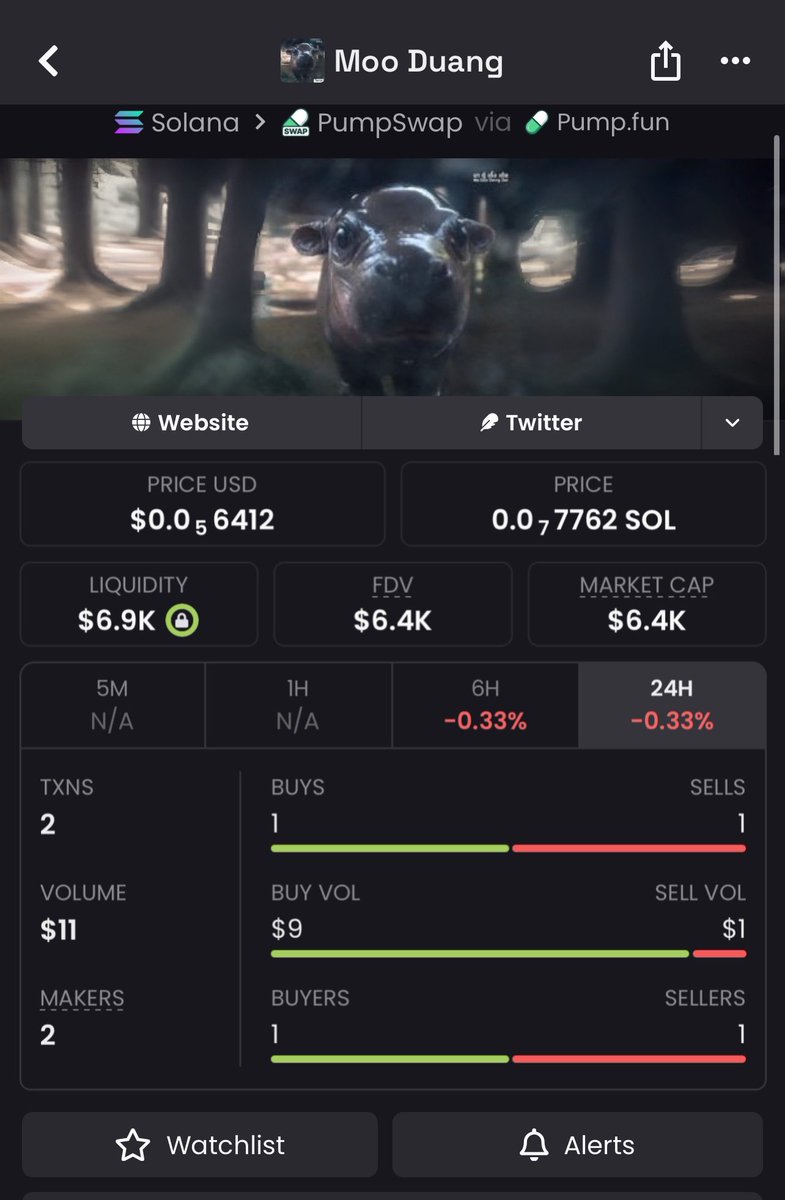 Meme Wolf tweet media