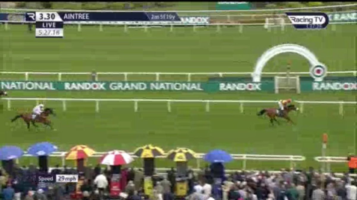 The Bookies Nightmare tweet media