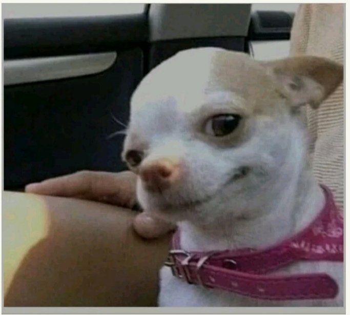 Namelezz tweet media