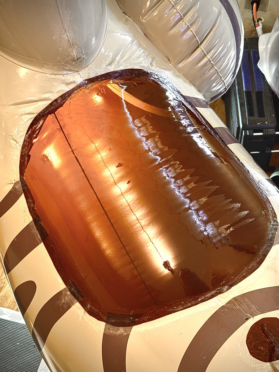 What of Kind You of What Dog Kind Are Dog You????? tweet media