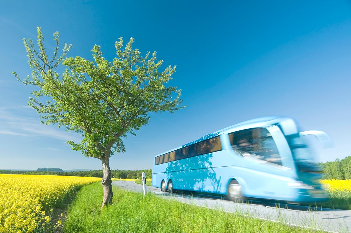 CONFEBUS tweet media