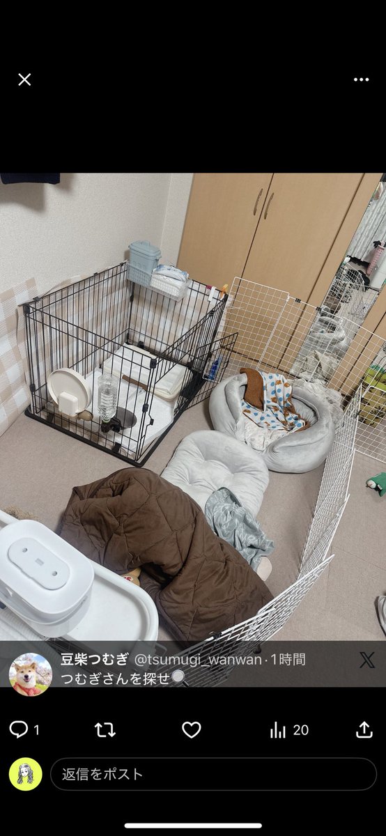 まろ✂︎🌰👑🐃⚡️☁️🐟 tweet media