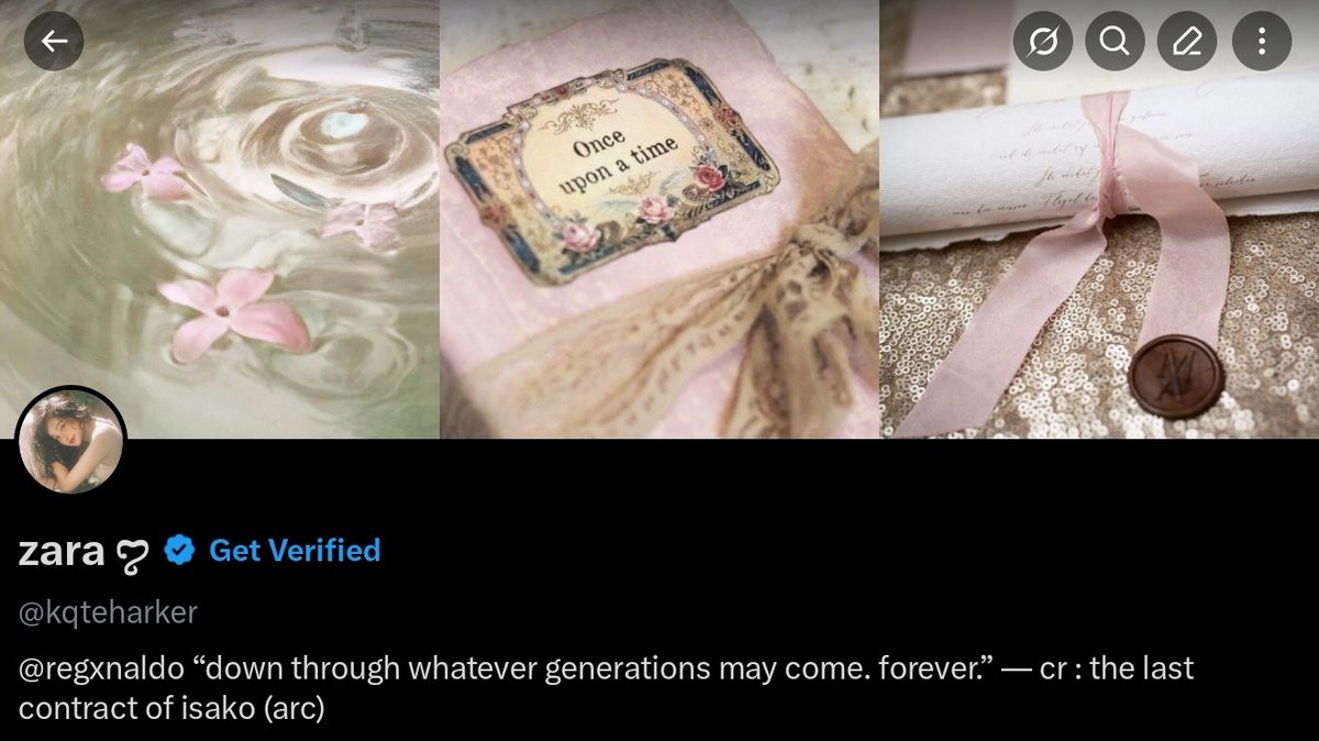 zara ꨄ︎ tweet media