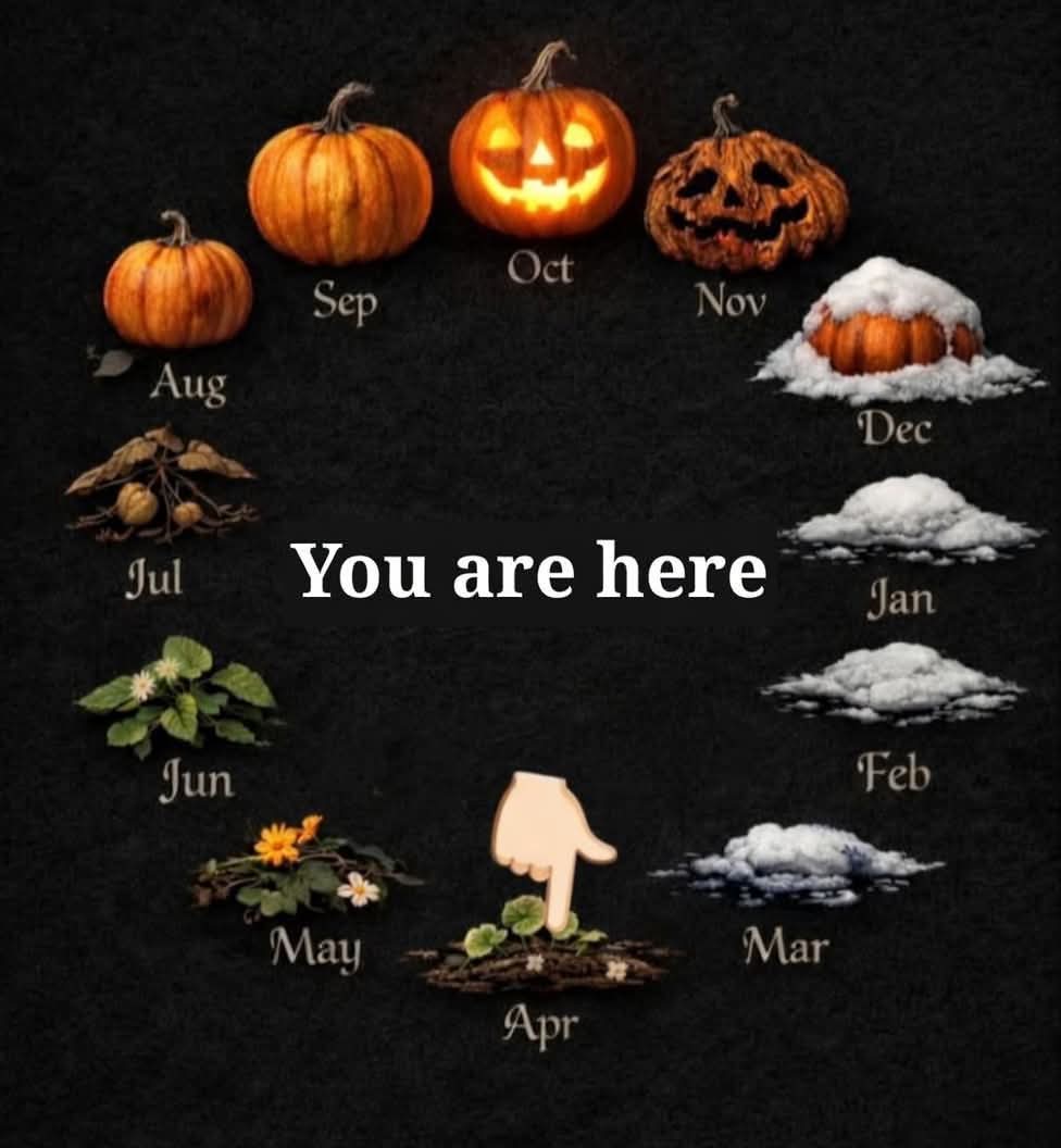 Halloween Queen 🎃 tweet media