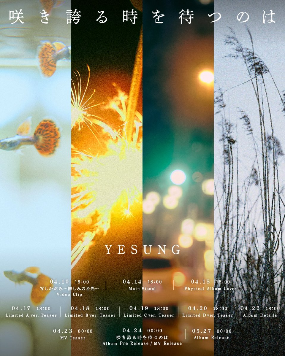 YESUNG from #SUPERJUNIOR to release 2nd Japanese album 