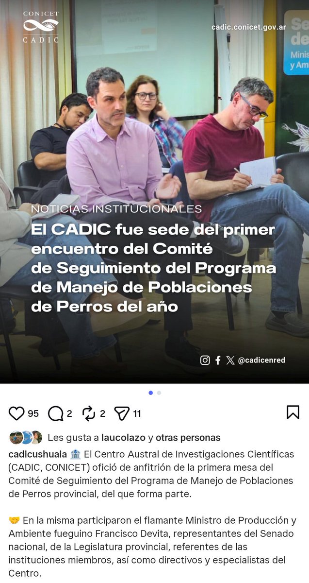 Luis Castelli tweet media