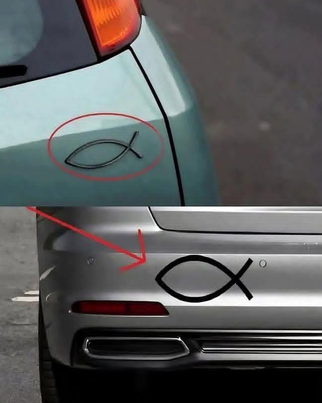 الجوهرة tweet media