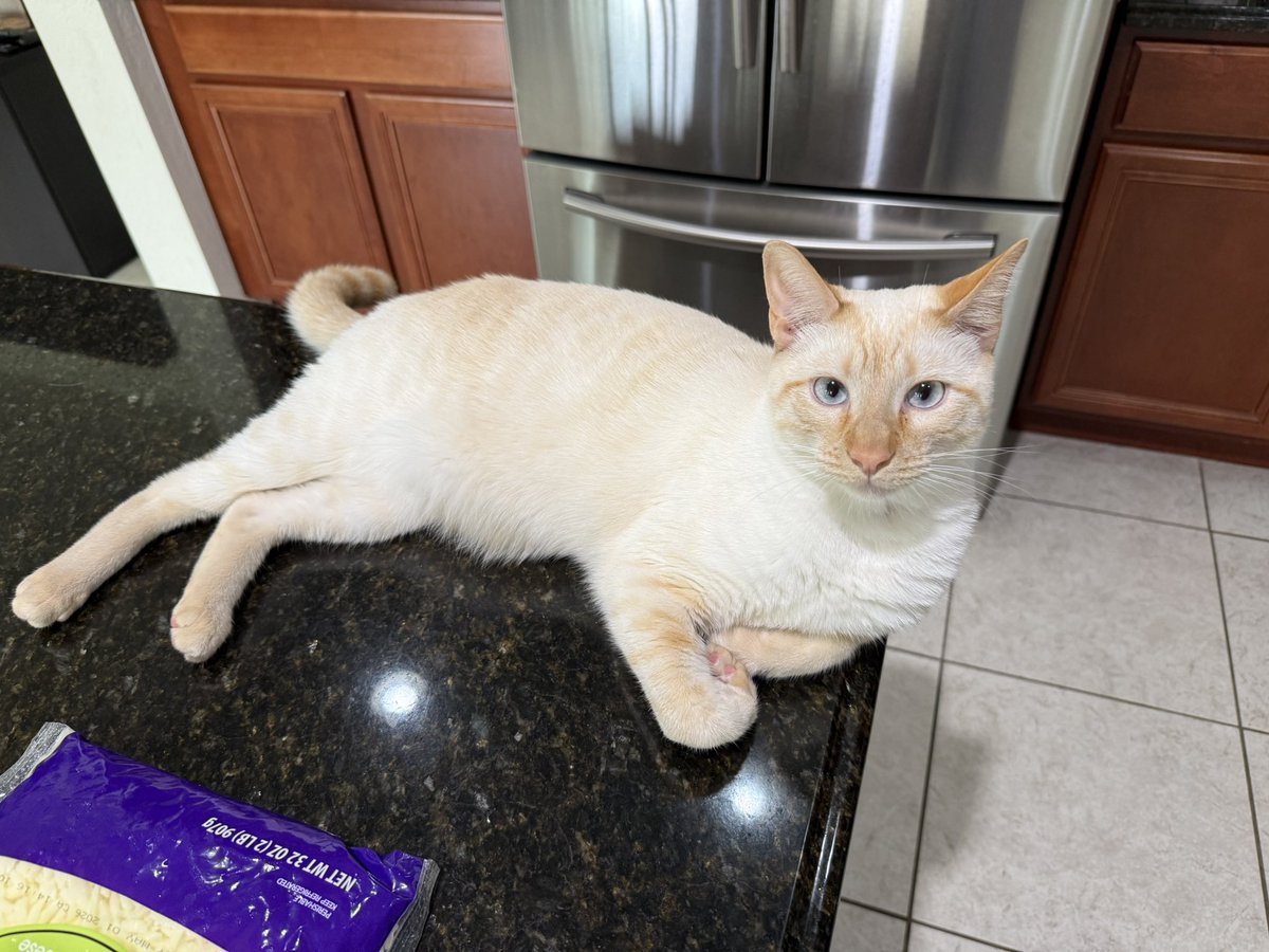 𝒜 ♱ tweet media