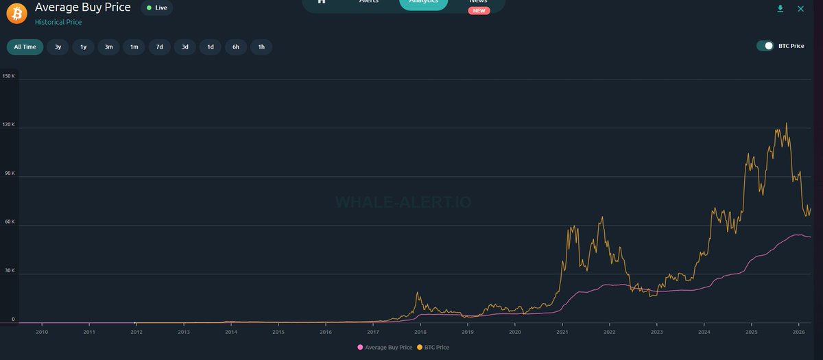 JesseOlson's tweet photo. Despite your feelings. The bottom is not in.

On chain data: Bitcoin average buy price is $52,939.

Price goes multiple deviations above average buy price in a bull run. In bear markets, it trends down. Every bear market, price has retested and gone below it.

This aligns with our sniper targets.