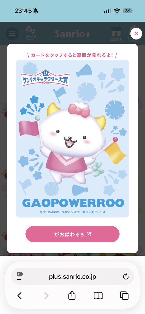 まおるぅ tweet media