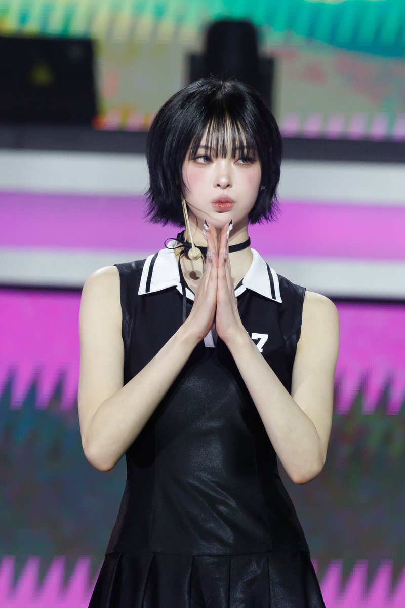 달코미 tweet media