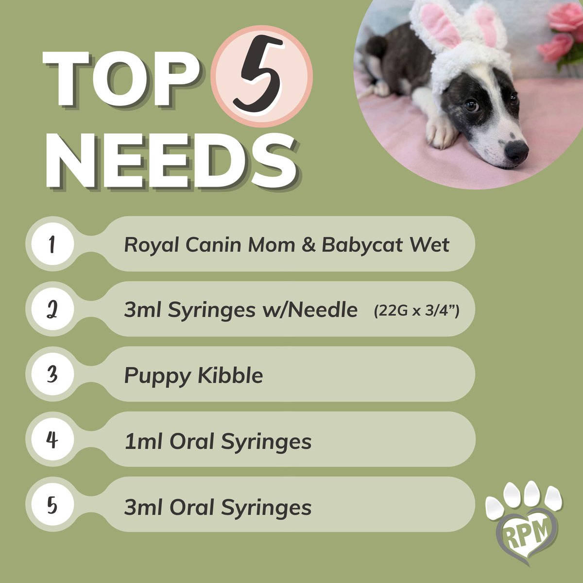 RescuedPetsMovement tweet media