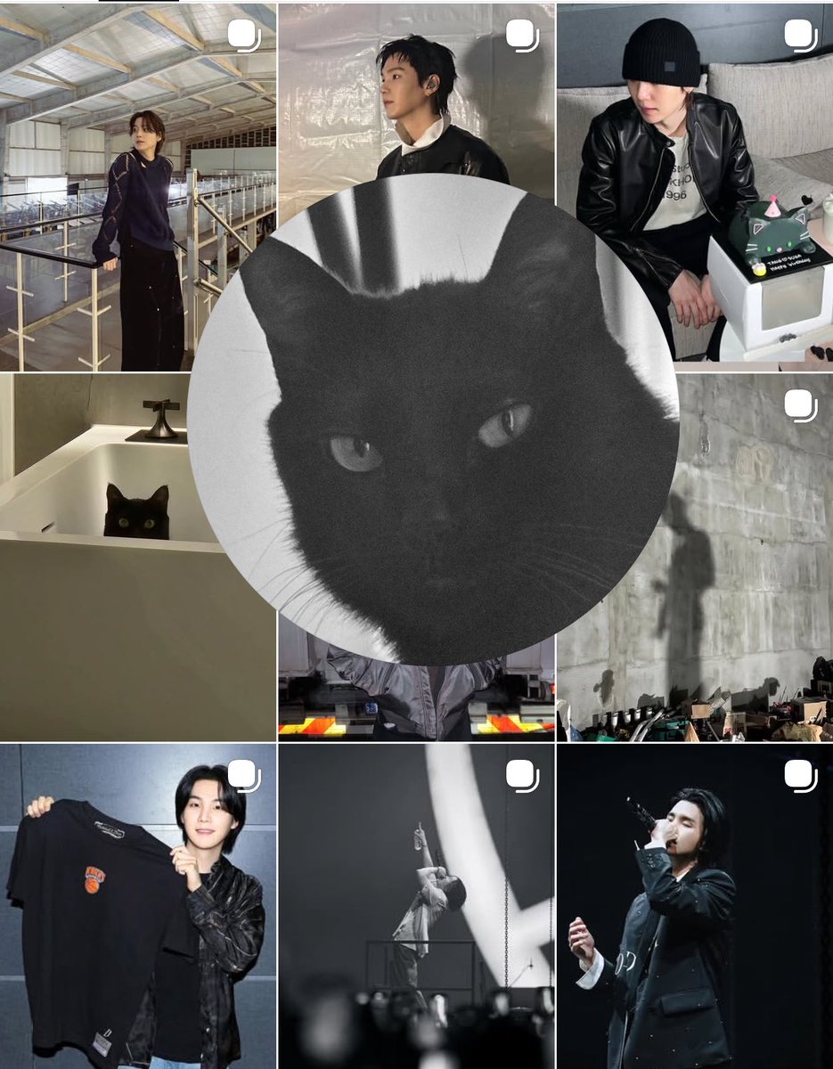 cathyoongi's tweet photo. literally his spirit animal 🐈‍⬛ https://t.co/bsVcFix4YP