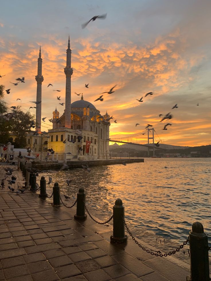 Isabella tweet media