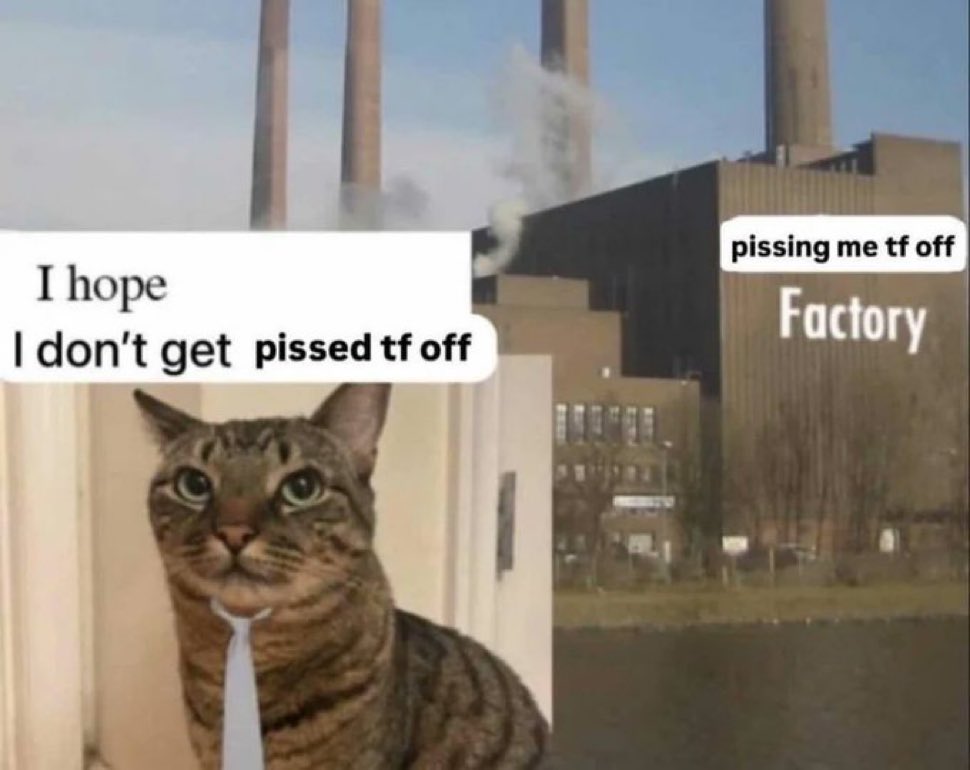 toothᶻ 𝗓 𐰁 tweet media